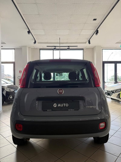 Fiat Panda Cross Cross 1.0 FireFly S&S Hybrid (4)