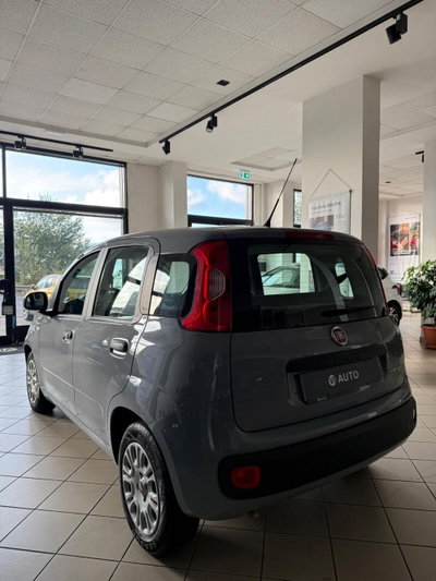 Fiat Panda Cross Cross 1.0 FireFly S&S Hybrid (5)