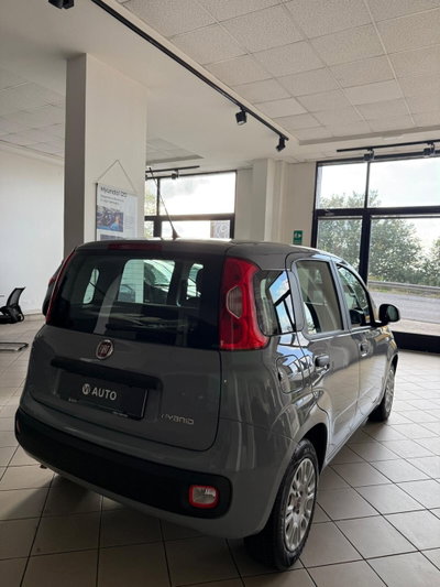Fiat Panda Cross Cross 1.0 FireFly S&S Hybrid (6)