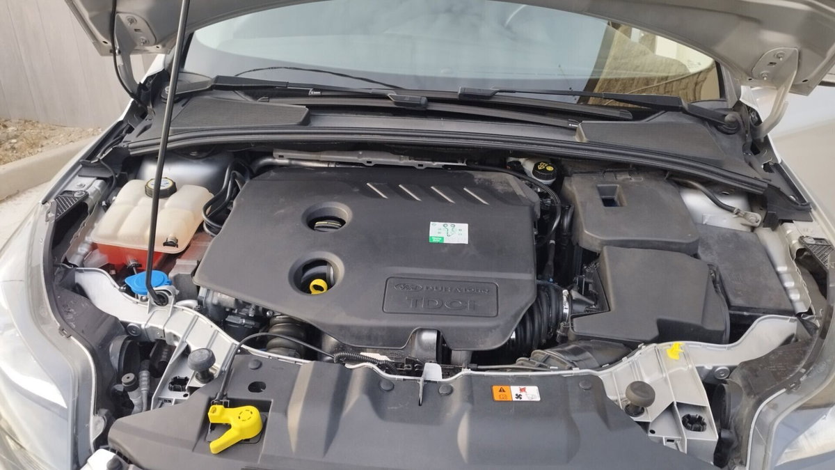 Ford Focus 1.6 TDCi 115 CV Titanium (13)