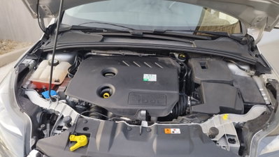 Ford Focus 1.6 TDCi 115 CV Titanium (13)
