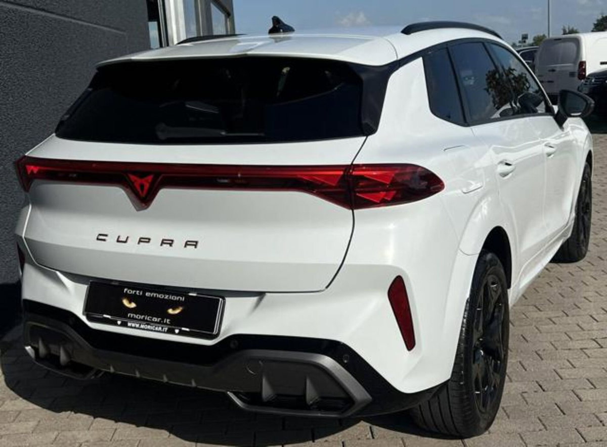Cupra Terramar 1.5 hybrid 150cv dsg (13)