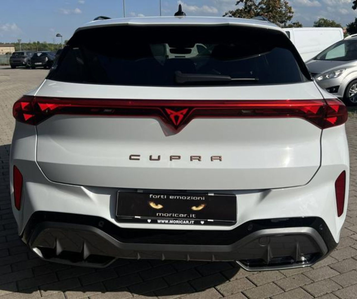 Cupra Terramar 1.5 hybrid 150cv dsg (14)