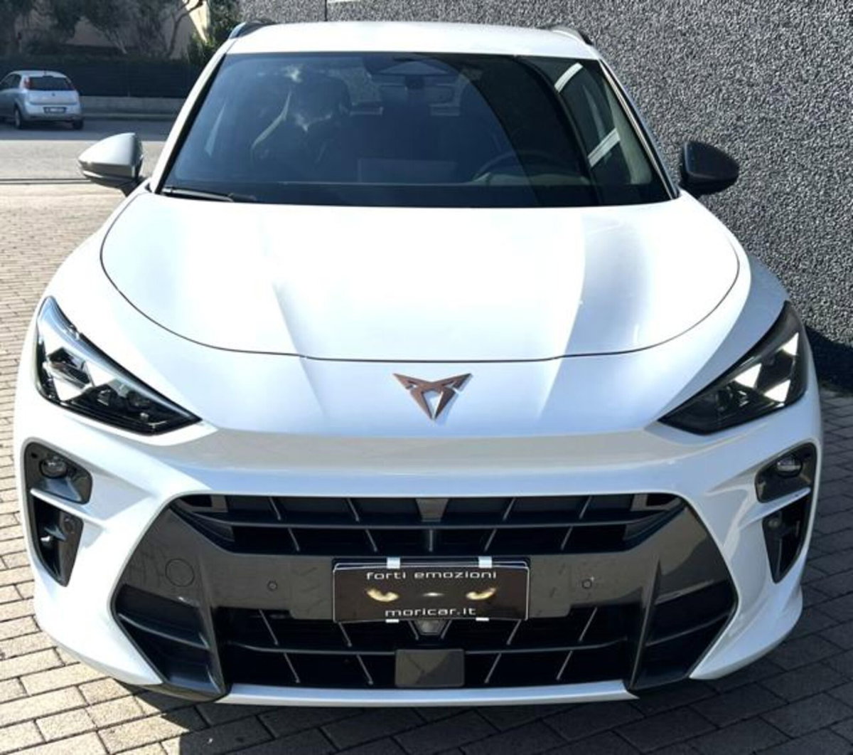Cupra Terramar 1.5 hybrid 150cv dsg (15)