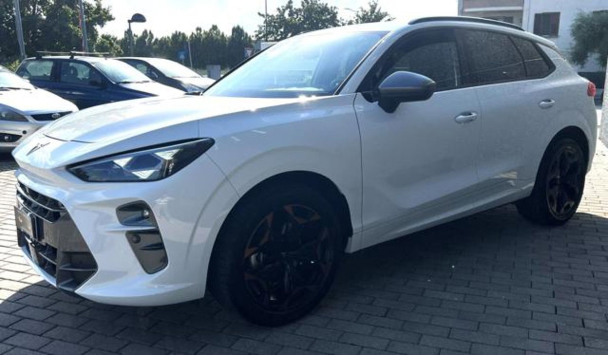 Cupra Terramar 1.5 hybrid 150cv dsg (16)