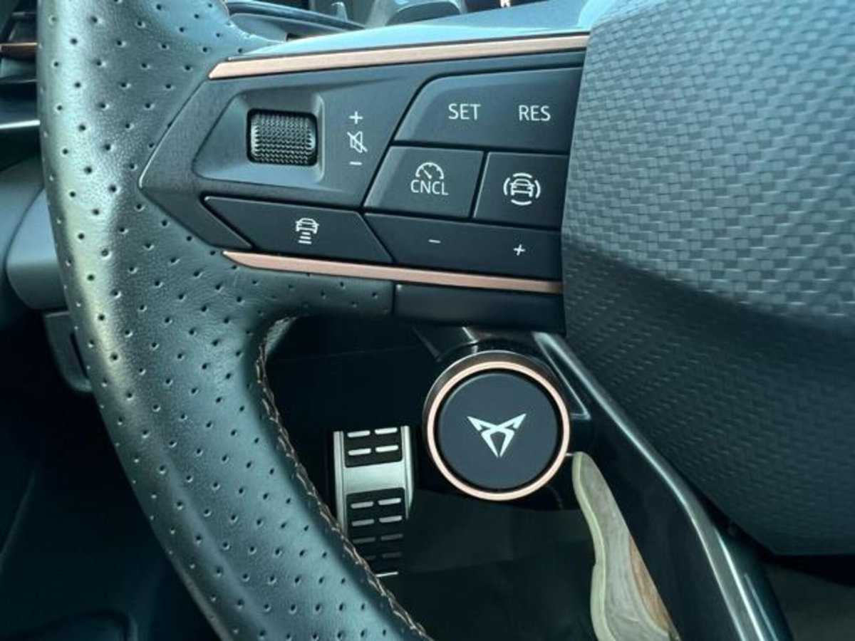 Cupra Terramar 1.5 hybrid 150cv dsg (20)