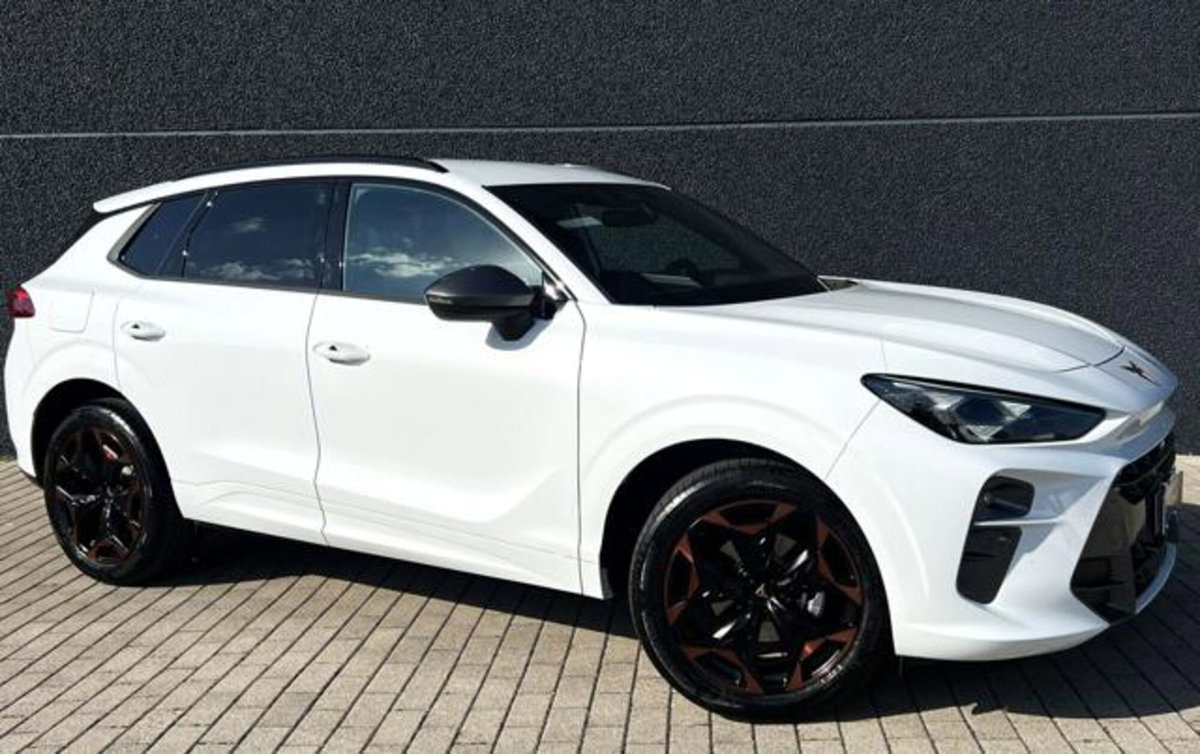 Cupra Terramar 1.5 hybrid 150cv dsg (3)