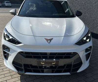 Cupra Terramar 1.5 hybrid 150cv dsg (4)