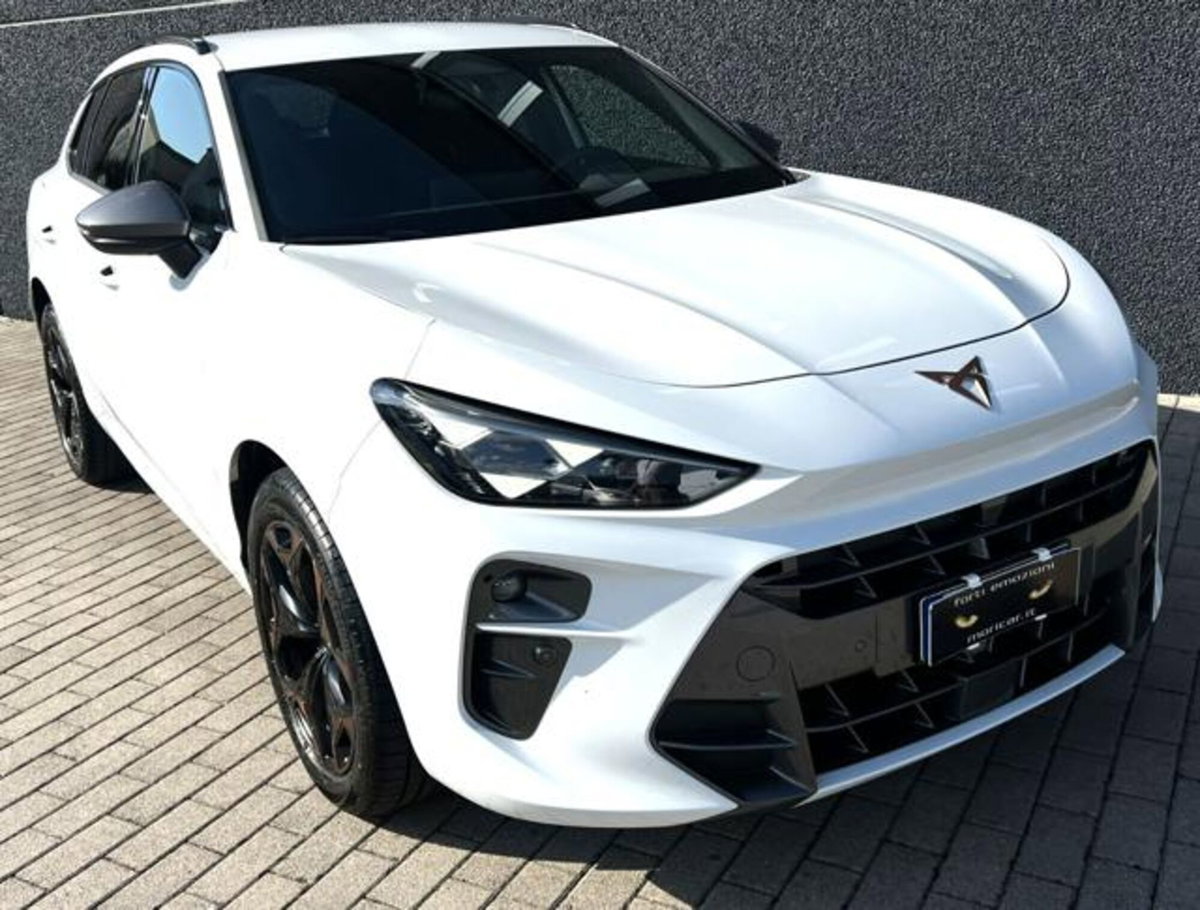 Cupra Terramar 1.5 hybrid 150cv dsg (5)