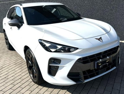Cupra Terramar 1.5 hybrid 150cv dsg (5)