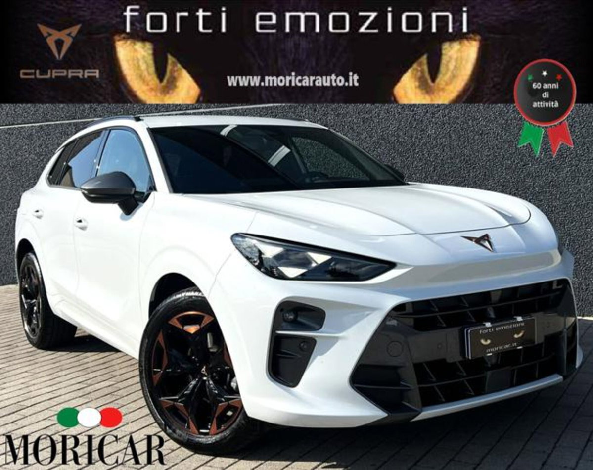 Cupra Terramar 1.5 hybrid 150cv dsg (7)