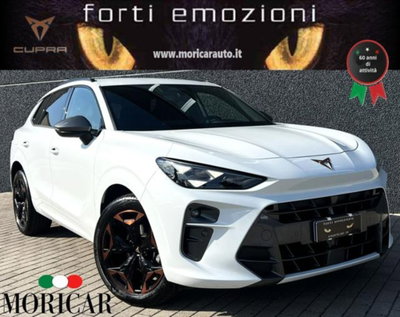 Cupra Terramar 1.5 hybrid 150cv dsg (7)