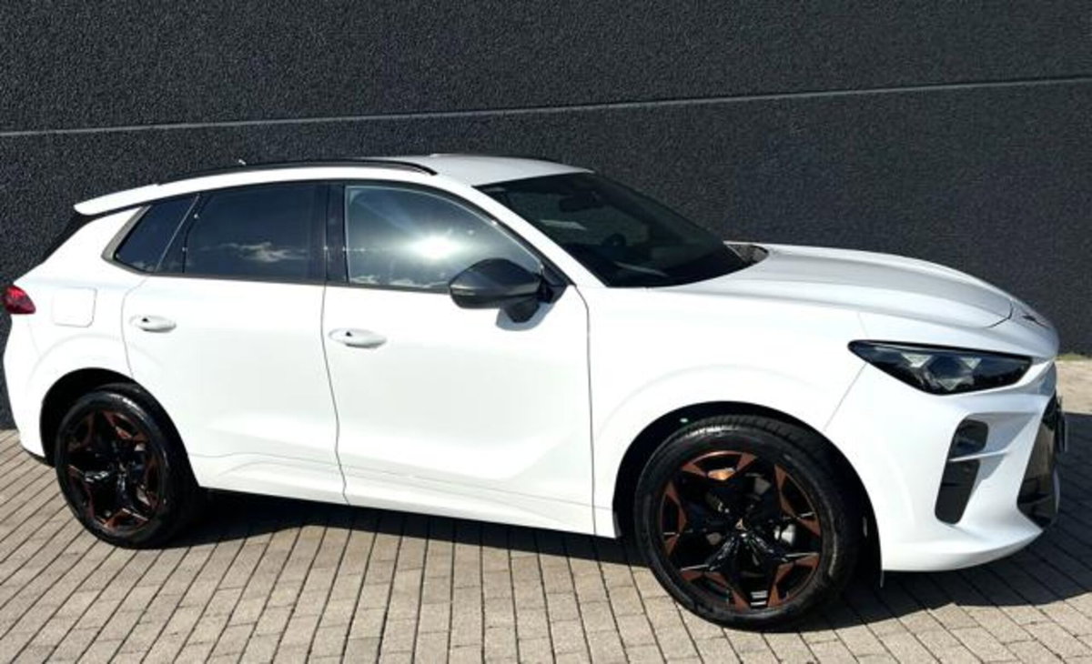 Cupra Terramar 1.5 hybrid 150cv dsg (8)