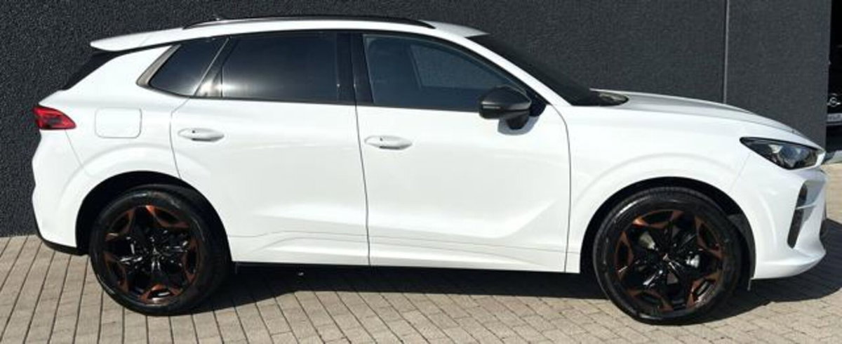 Cupra Terramar 1.5 hybrid 150cv dsg (9)