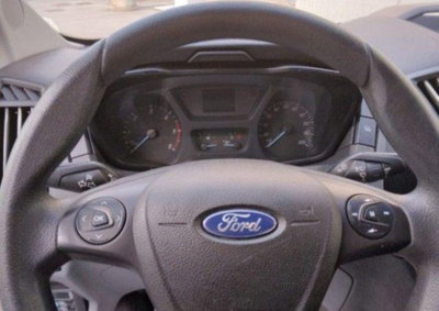 Ford Transit Furgone transit 350 2.0 tdci 170cv trail L3H2 E6.2 (12)