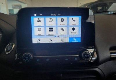 Ford EcoSport 1.0 EcoBoost 125 CV (12)