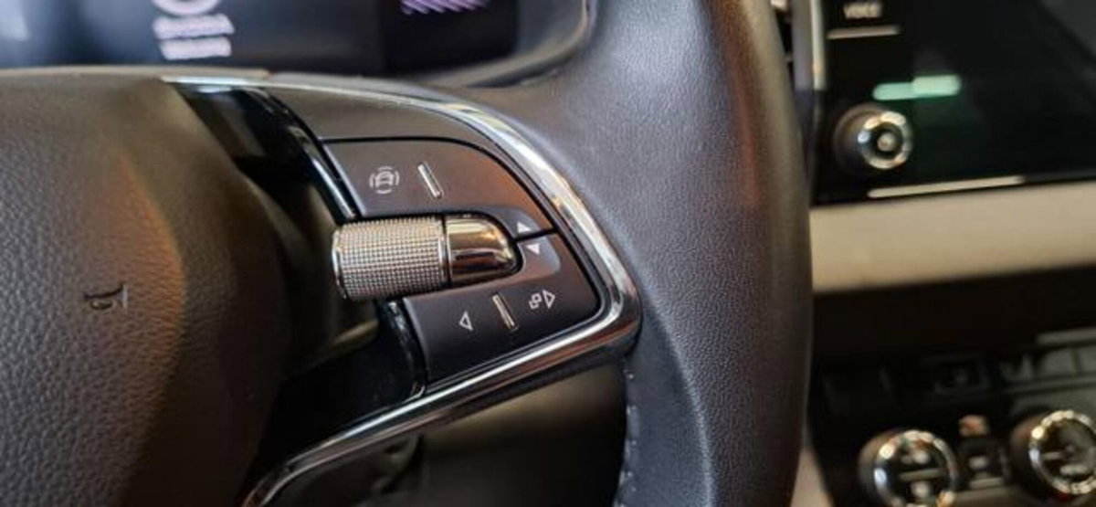 Skoda Karoq 2.0 tdi Sportline 115cv (18)