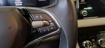 Skoda Karoq 2.0 tdi Sportline 115cv (18)