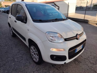 Fiat Panda 0.9 TwinAir Turbo S&S 4x4 Pop Van 2 posti (4)