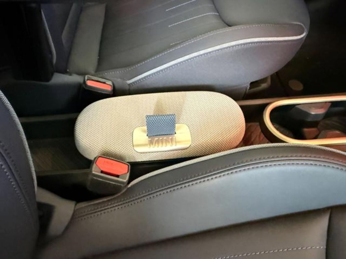 MINI Mini Cooper SE Resolute (15)