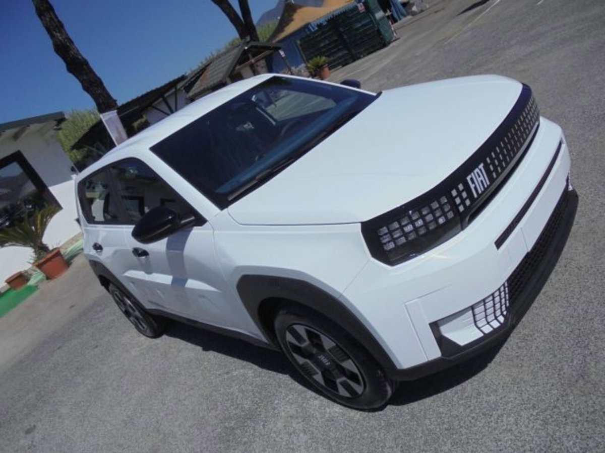 Fiat Grande Panda 1.2 Icon 100cv (18)