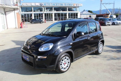 Fiat Panda 1.0 firefly hybrid Pop s&s 70cv usata