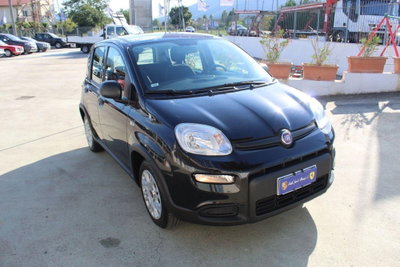 Fiat Panda 1.0 firefly hybrid Pop s&s 70cv (3)
