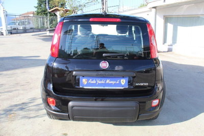 Fiat Panda 1.0 firefly hybrid Pop s&s 70cv (5)