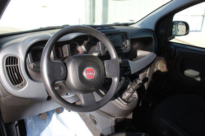 Fiat Panda 1.0 firefly hybrid Pop s&s 70cv (8)