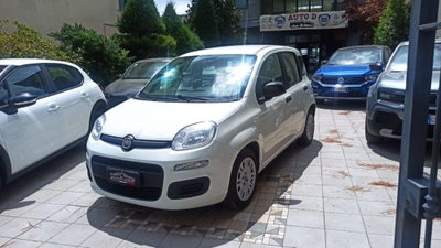 Fiat Panda 1.0 FireFly S&S Hybrid usata