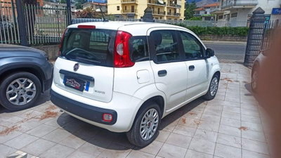 Fiat Panda 1.0 FireFly S&S Hybrid (3)