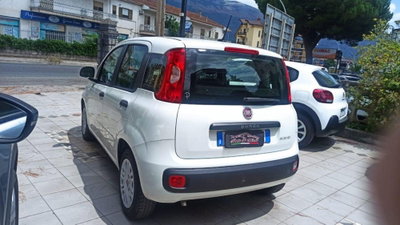 Fiat Panda 1.0 FireFly S&S Hybrid (4)