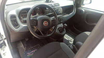 Fiat Panda 1.0 FireFly S&S Hybrid (6)