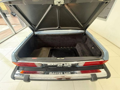 Mercedes-Benz SL 600 cat Chrome (12)