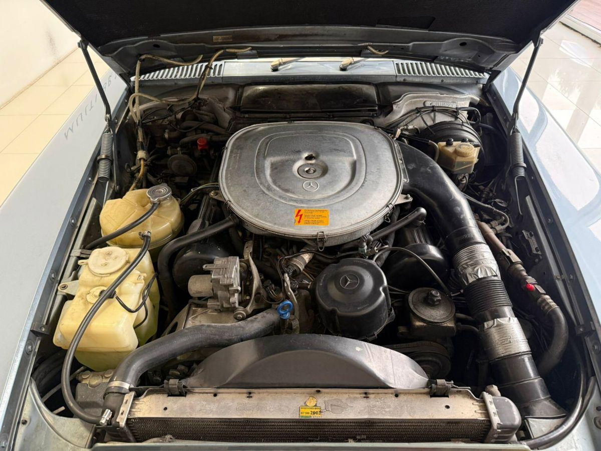 Mercedes-Benz SL 600 cat Chrome (6)