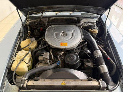 Mercedes-Benz SL 600 cat Chrome (6)