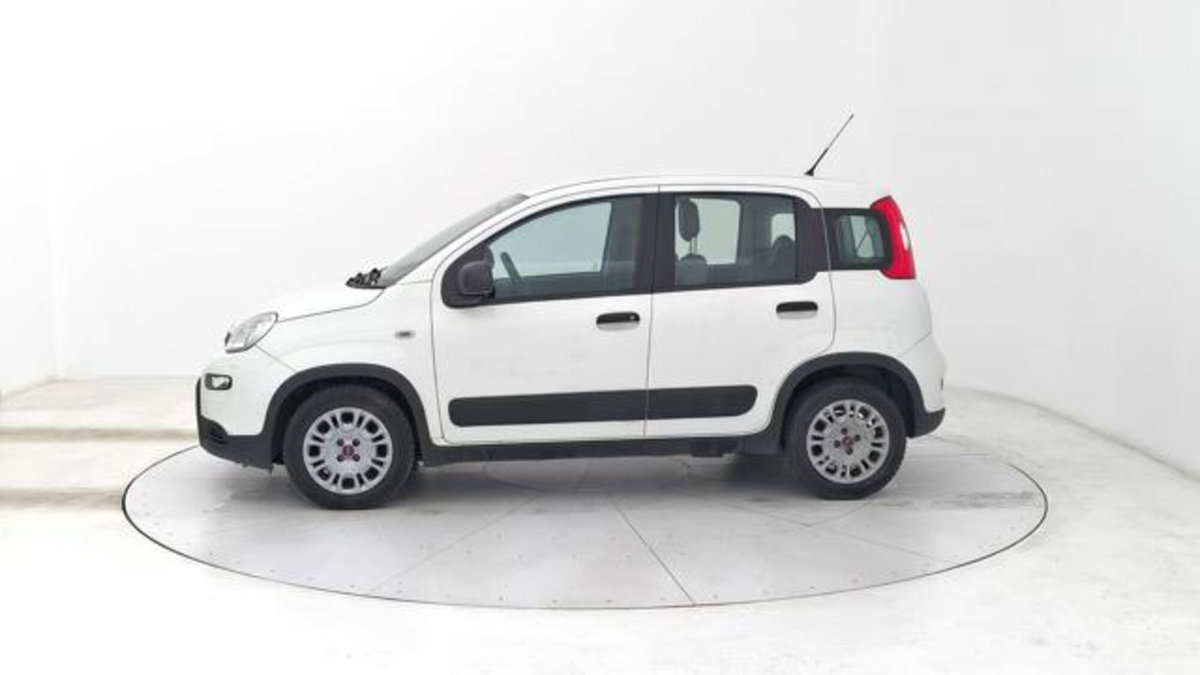Fiat Panda van 1.0 hybrid Street 70cv 4p.ti serie 4 E6d (2)