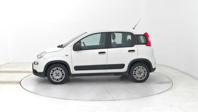 Fiat Panda van 1.0 hybrid Street 70cv 4p.ti serie 4 E6d (2)