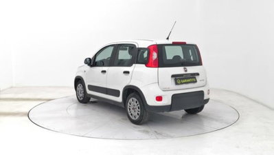 Fiat Panda van 1.0 hybrid Street 70cv 4p.ti serie 4 E6d (3)