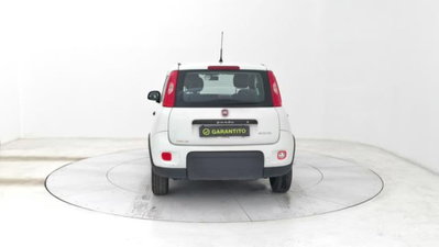 Fiat Panda van 1.0 hybrid Street 70cv 4p.ti serie 4 E6d (4)