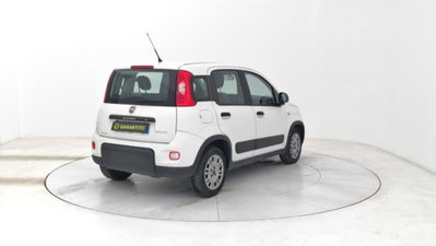 Fiat Panda van 1.0 hybrid Street 70cv 4p.ti serie 4 E6d (5)