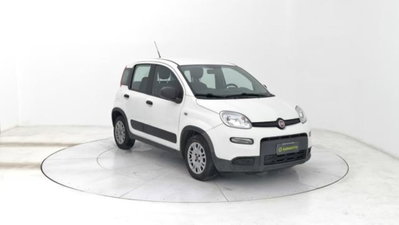Fiat Panda van 1.0 hybrid Street 70cv 4p.ti serie 4 E6d (7)