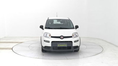 Fiat Panda van 1.0 hybrid Street 70cv 4p.ti serie 4 E6d (8)