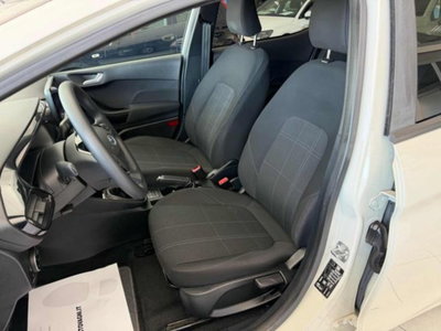 Ford Fiesta 1.5 EcoBlue 5 porte Business High (6)