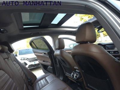 Alfa Romeo Stelvio Stelvio 2.2 Turbodiesel 210 CV AT8 Q4 Estrema (7)
