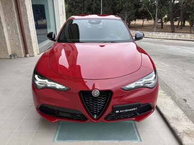 Alfa Romeo Stelvio Stelvio 2.2 Turbodiesel 160 CV AT8 RWD Sprint (2)