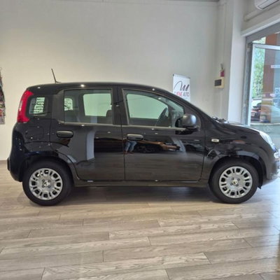 Fiat Pandina 1.0 firefly hybrid Icon s&s 65cv (2)
