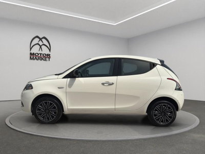 Lancia Ypsilon 1.0 FireFly 5 porte S&S Hybrid Ecochic Gold (5)