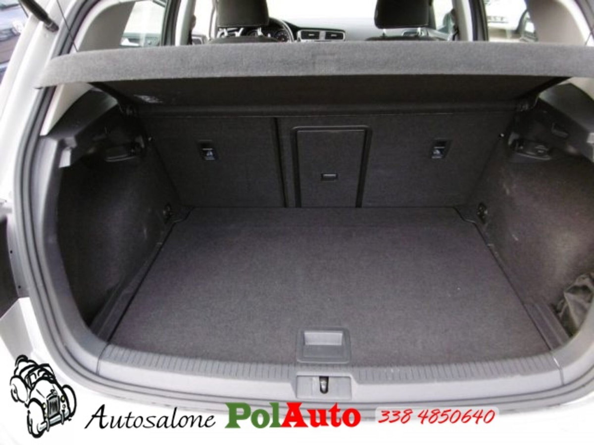 Volkswagen Golf 1.4 TGI 5p. Comfortline BlueMotion (15)