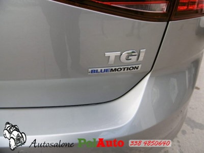 Volkswagen Golf 1.4 TGI 5p. Comfortline BlueMotion (6)